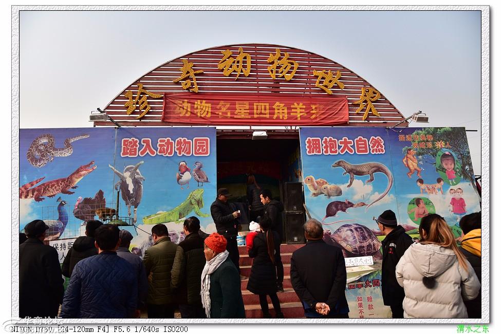 武功河滩会纪实(三)关中农民的狂欢会-咸阳论坛-华商论坛