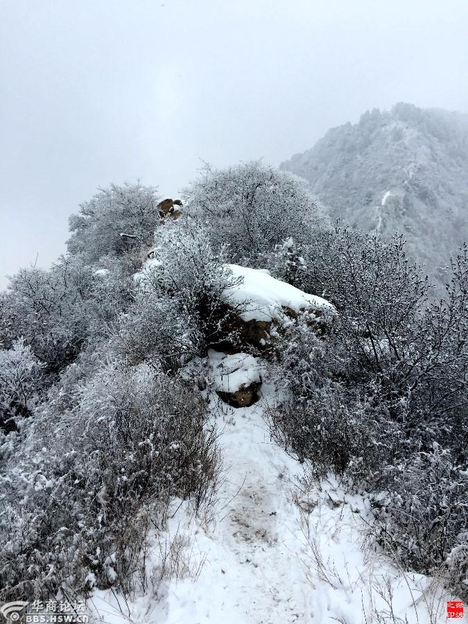 秦岭子午古道五道梁雪色世界