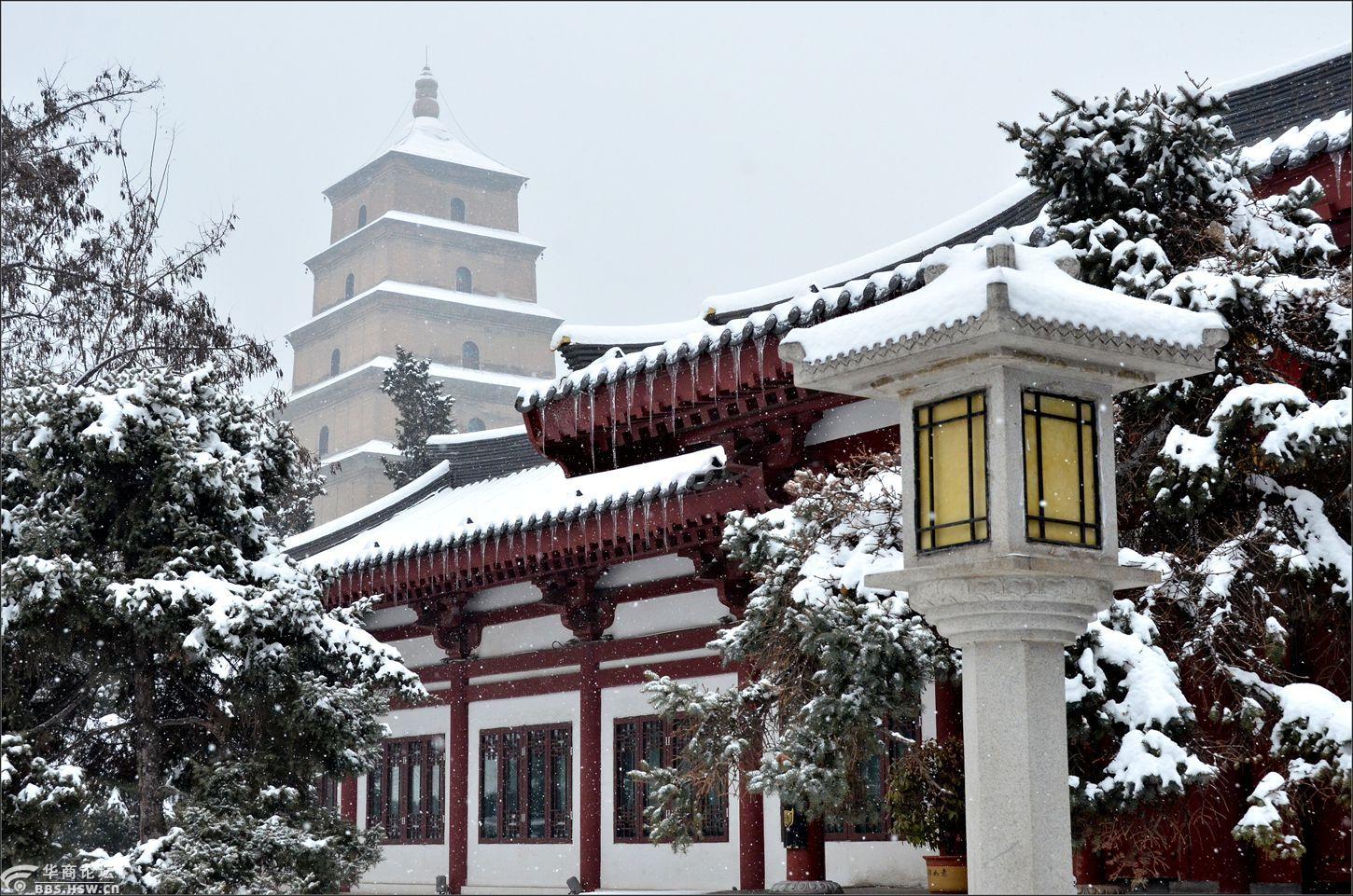 下雪天游大雁塔随拍