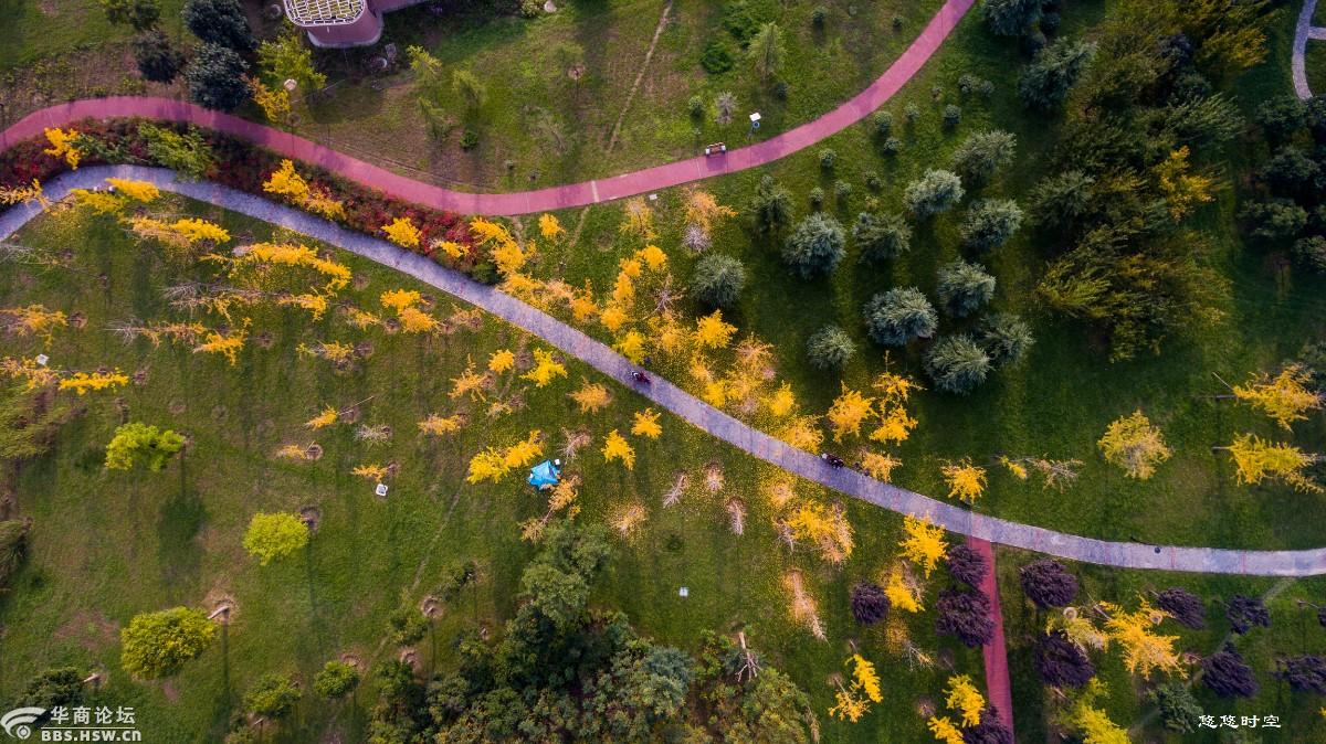 洨河生态公园之秋冬