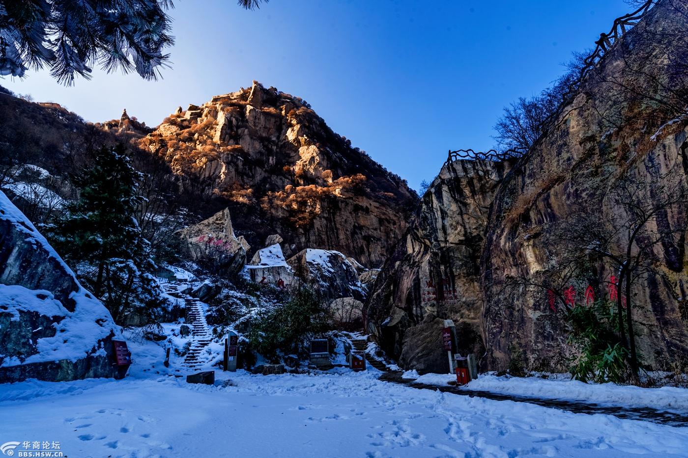 翠华山冬韵之美