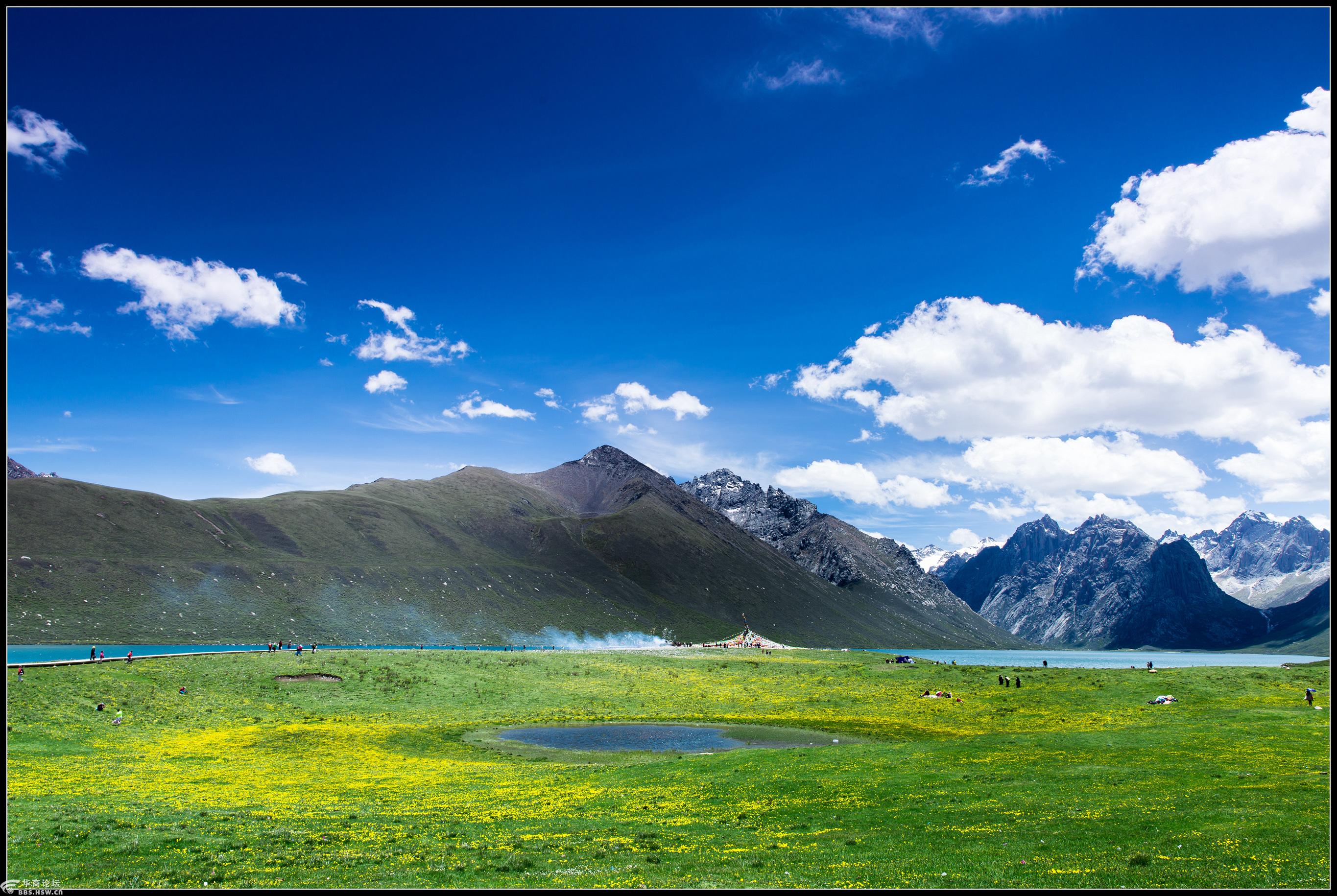 蝶恋花开年保花湖若尔盖醉美川西花季摄影之旅