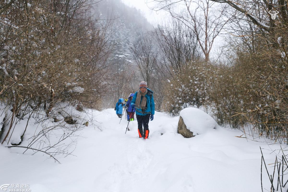 去秦岭高山草甸迎着风雪撒点儿野