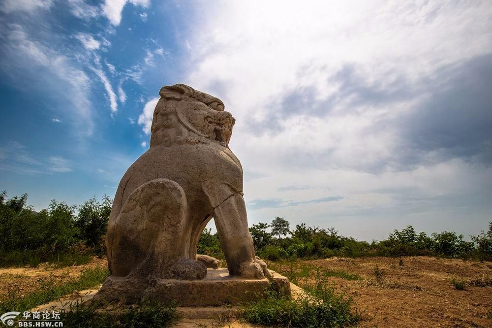 唐元陵照片背后的故事