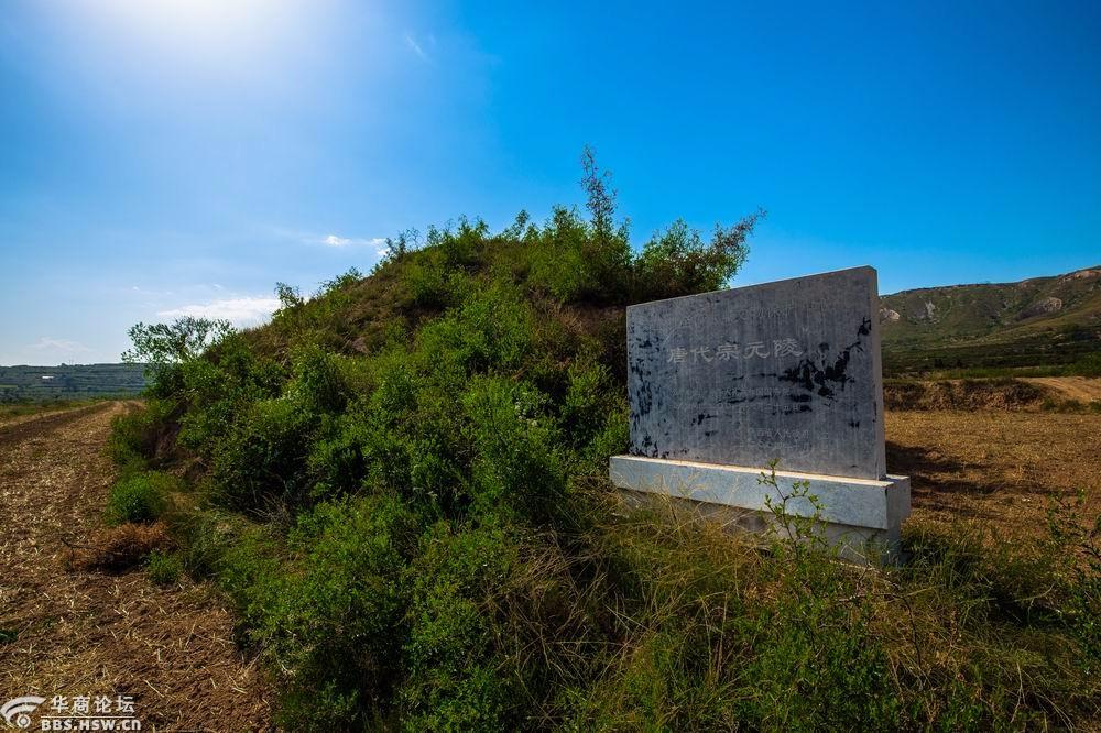 唐元陵照片背后的故事