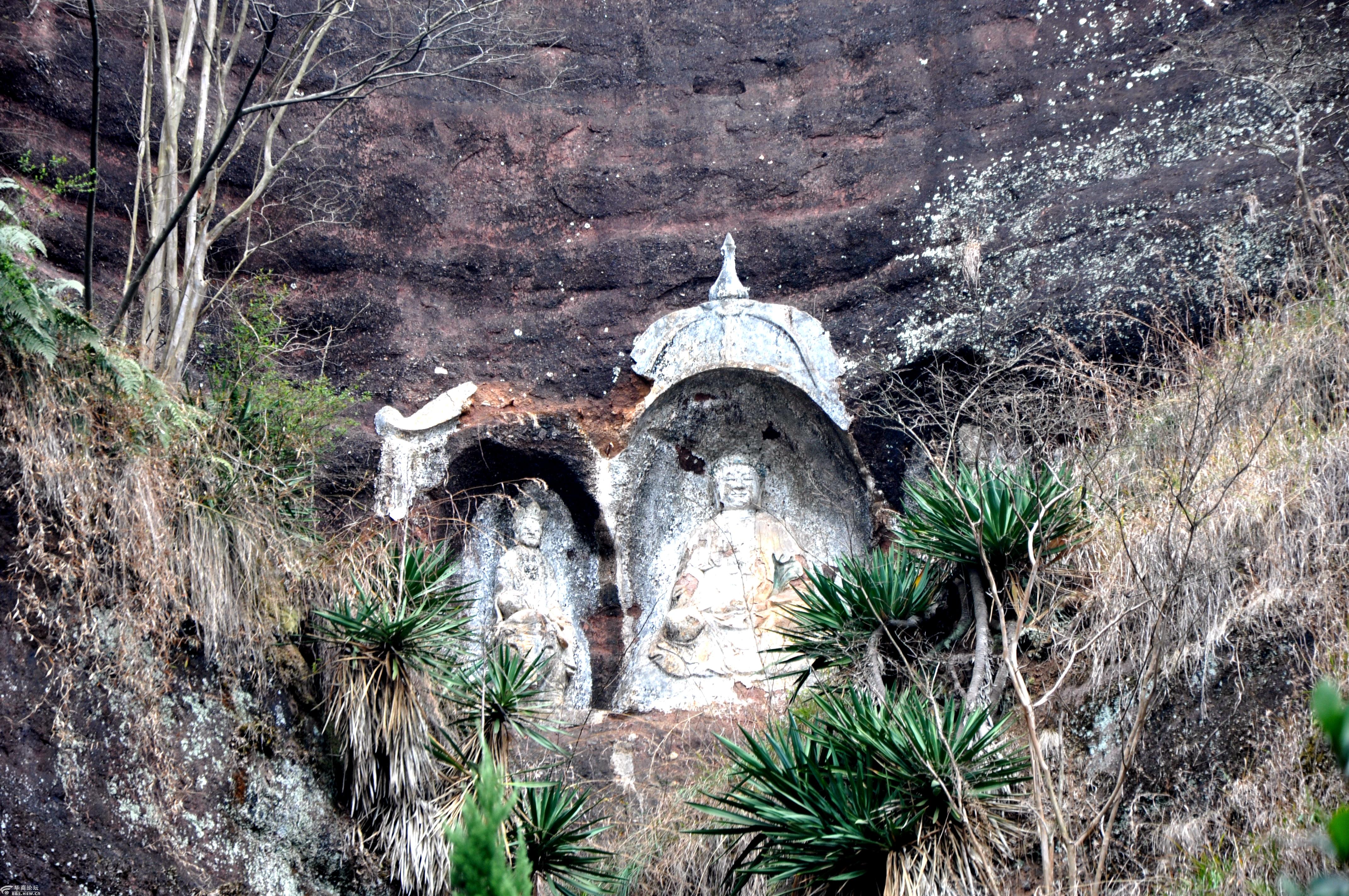 世界真奇妙不看咋知道!赣州广福禅寺石佛经观赏记