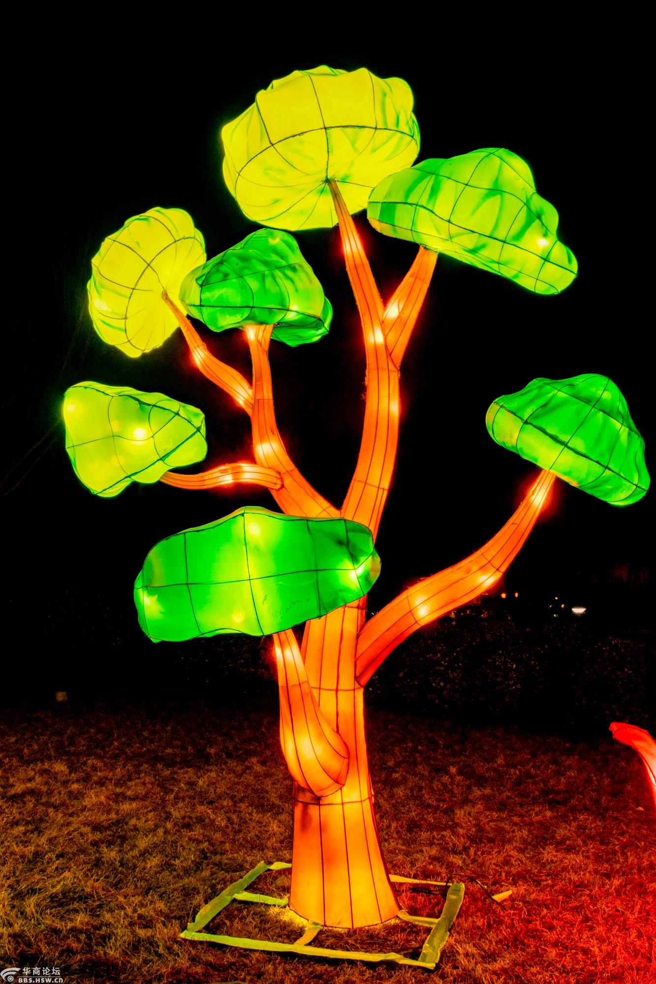 大唐芙蓉园流光溢彩灯影斑斓给你一个热闹吉祥的中国狗年春节