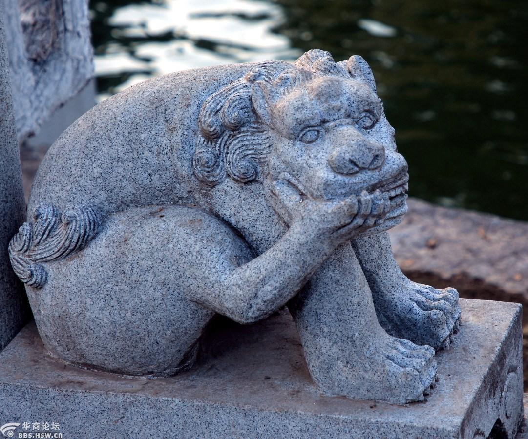 兴庆宫公园里那可爱的石狮子母子情深