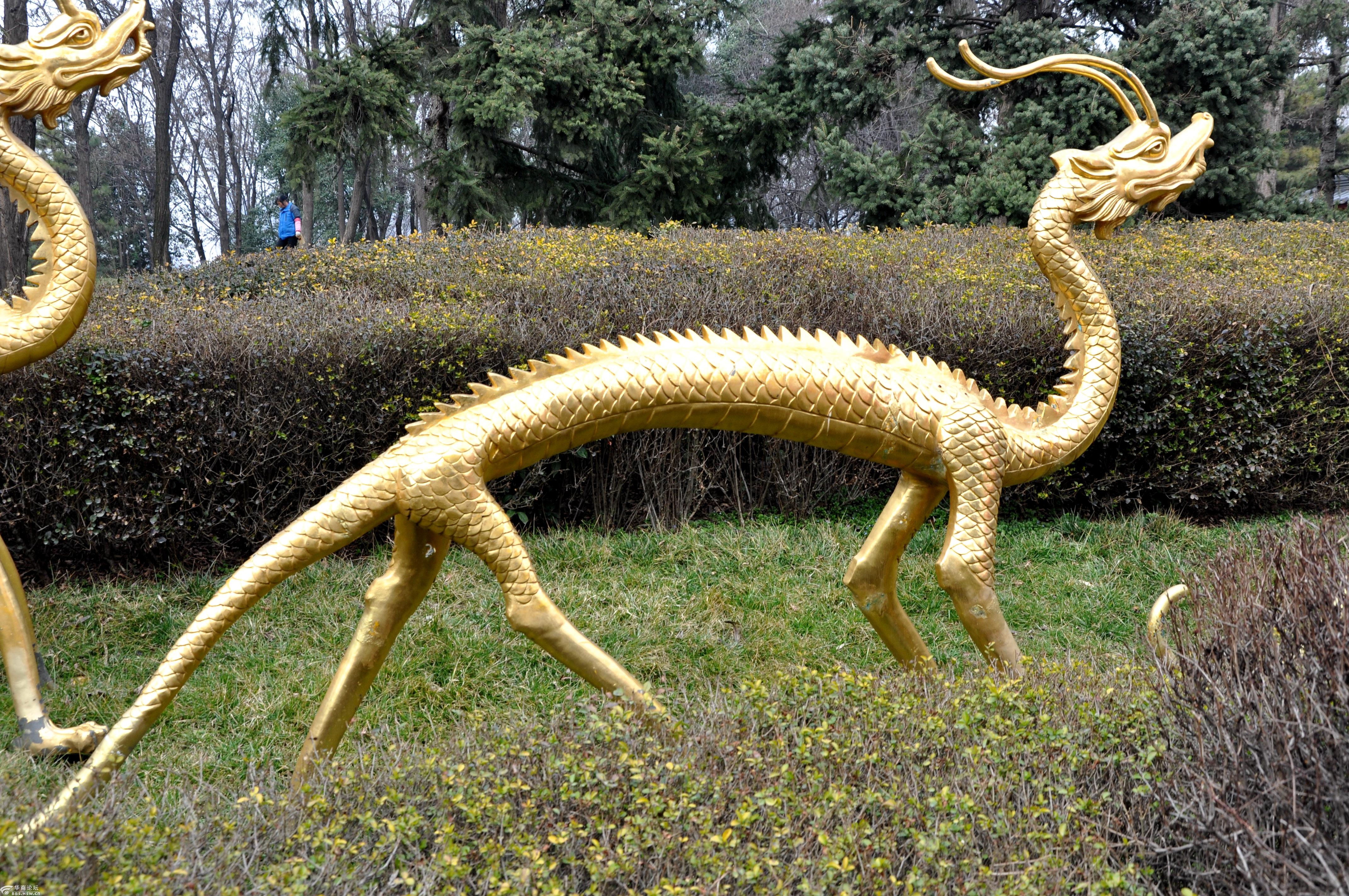 西安大唐芙蓉园里的赤金走龙.2018.2.26