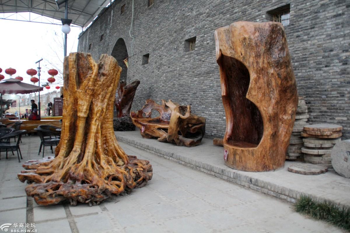 稀奇古怪高陵场畔的那些怪木组图