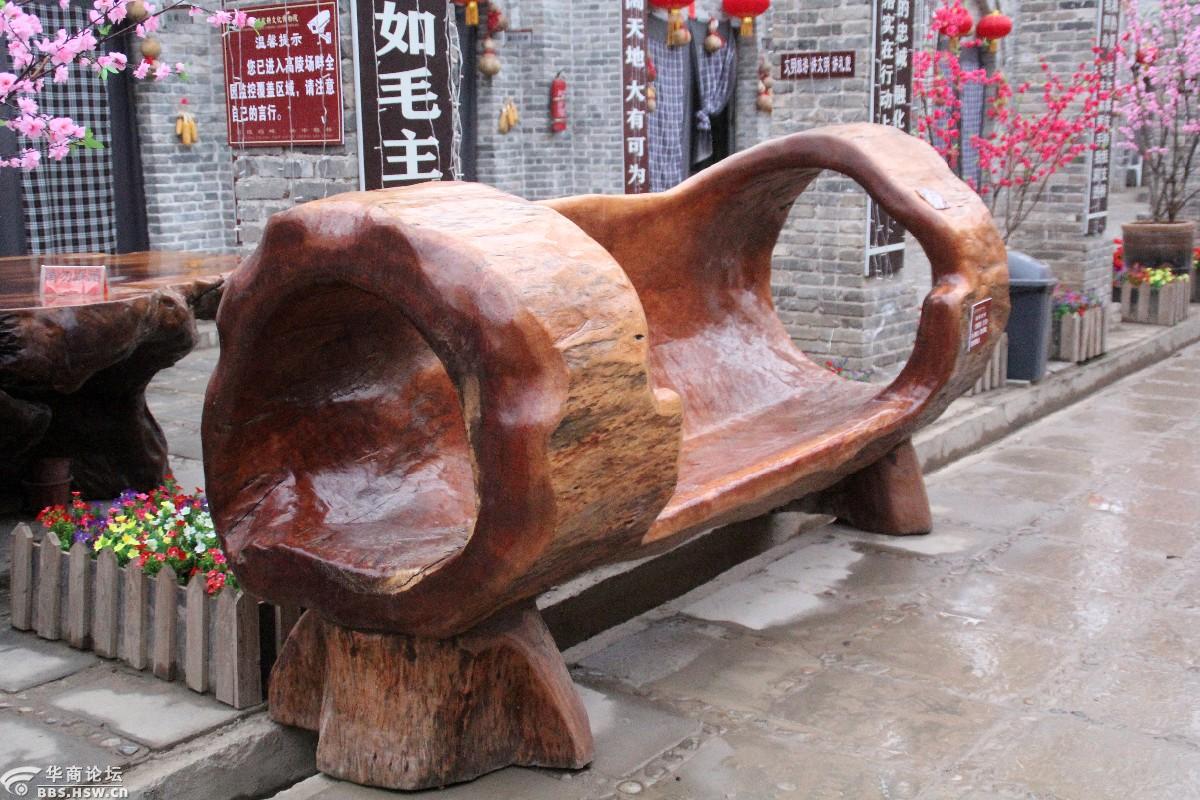 稀奇古怪高陵场畔的那些怪木组图