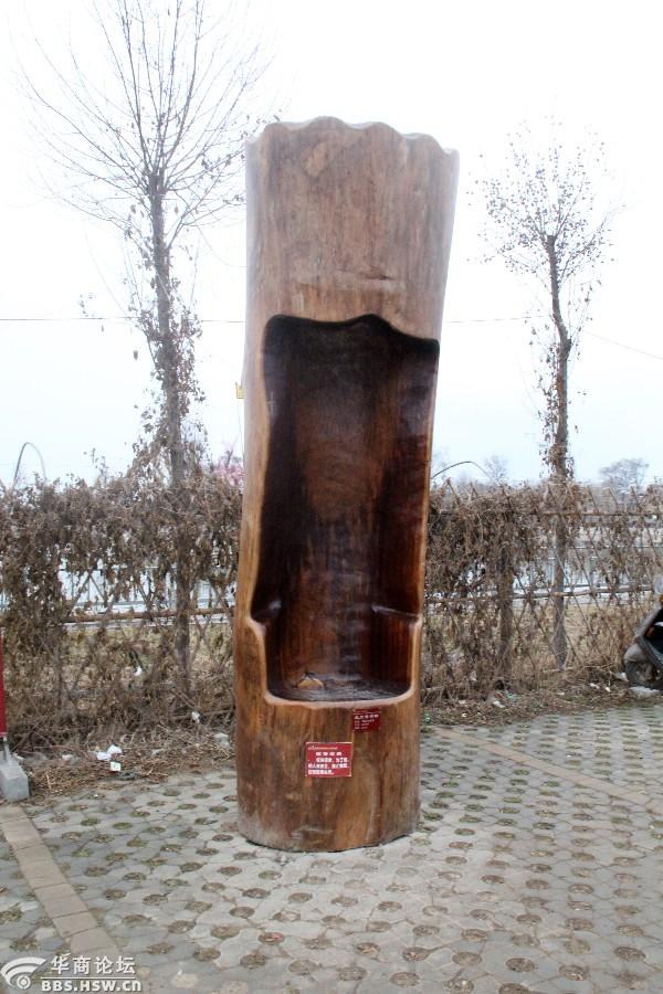 稀奇古怪高陵场畔的那些怪木组图