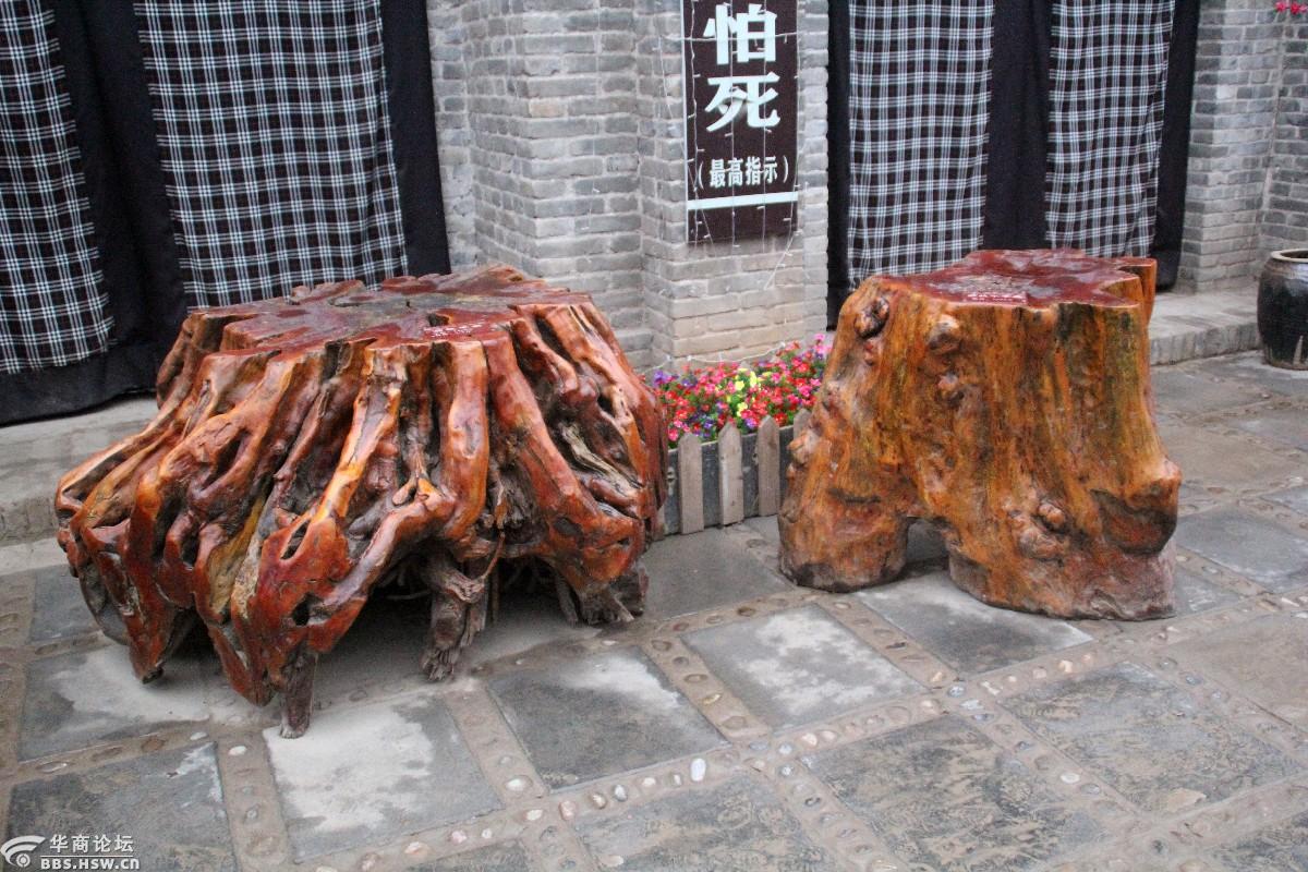 稀奇古怪高陵场畔的那些怪木组图