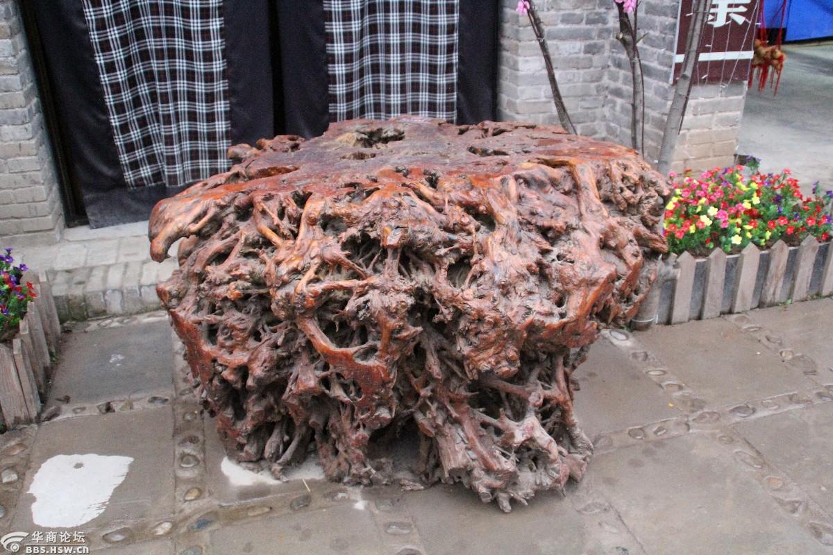 稀奇古怪高陵场畔的那些怪木组图