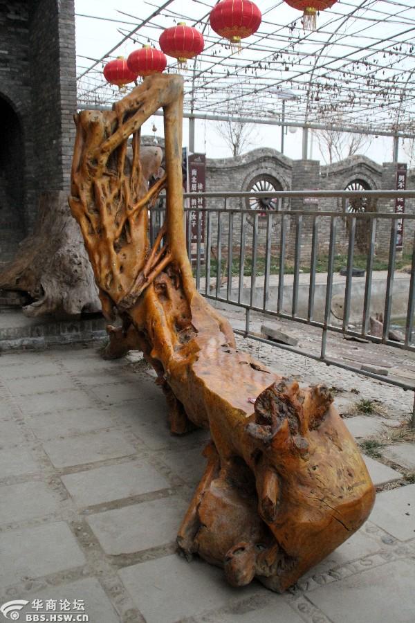 稀奇古怪高陵场畔的那些怪木组图