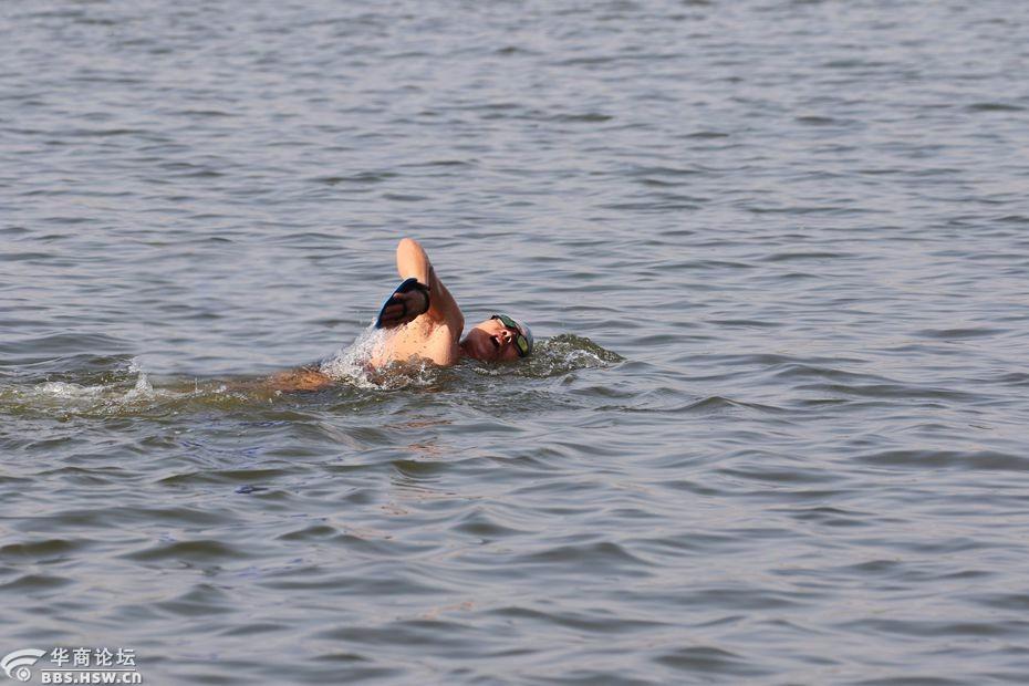 阳春三月灞河有了游泳人