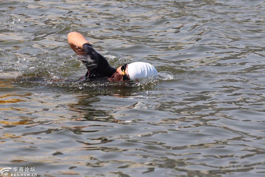 阳春三月灞河有了游泳人