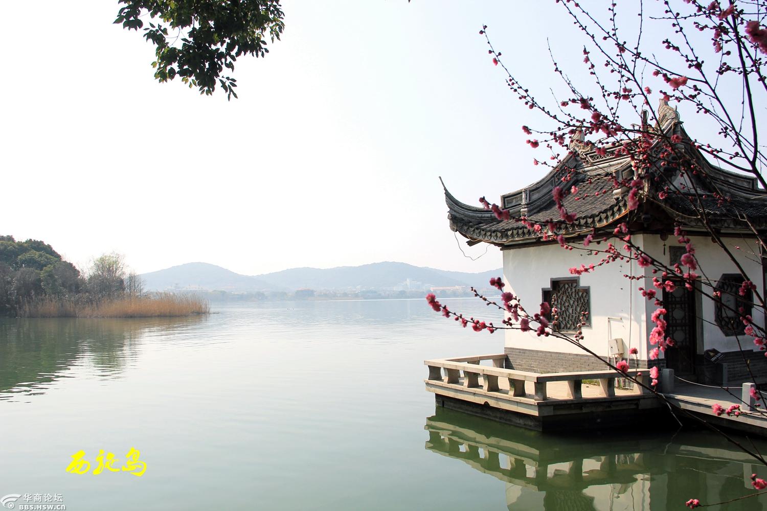 无锡西施岛蠡园30年前初中旅游来过旧地重游风景依旧吗故人不在