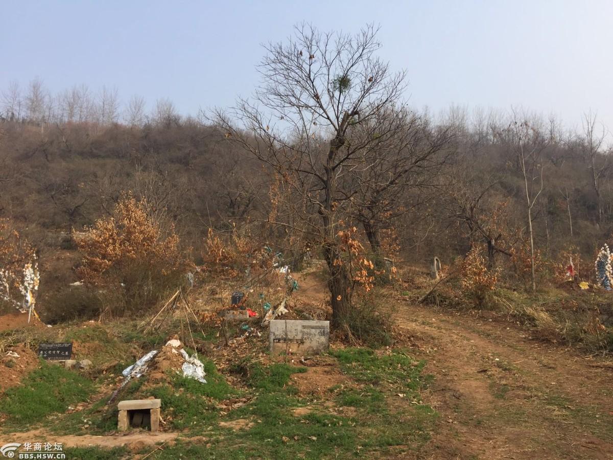 周末秦岭踏青赏墓记