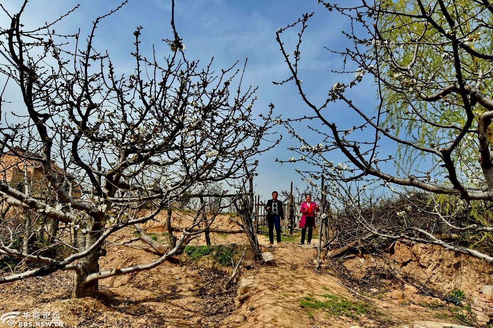 踏青蓝田 途经灞桥区老牛坡有家贫困户【严建设】