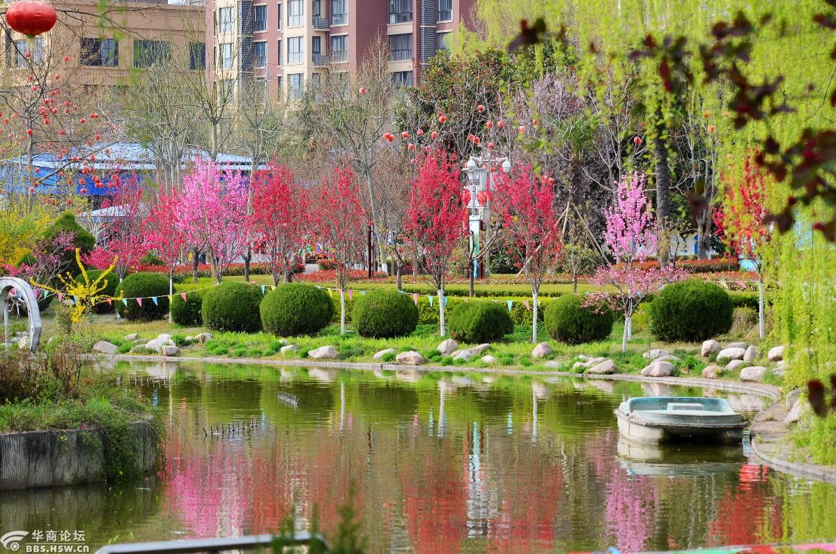 宝鸡儿童公园春色烂漫百花艳