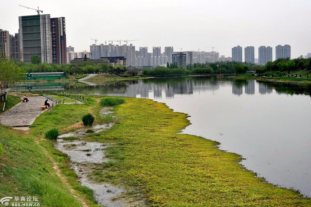 大美西安 浐河岸边黄昏乱拍【严建设】