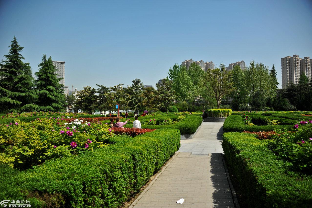 西安牡丹苑赏牡丹