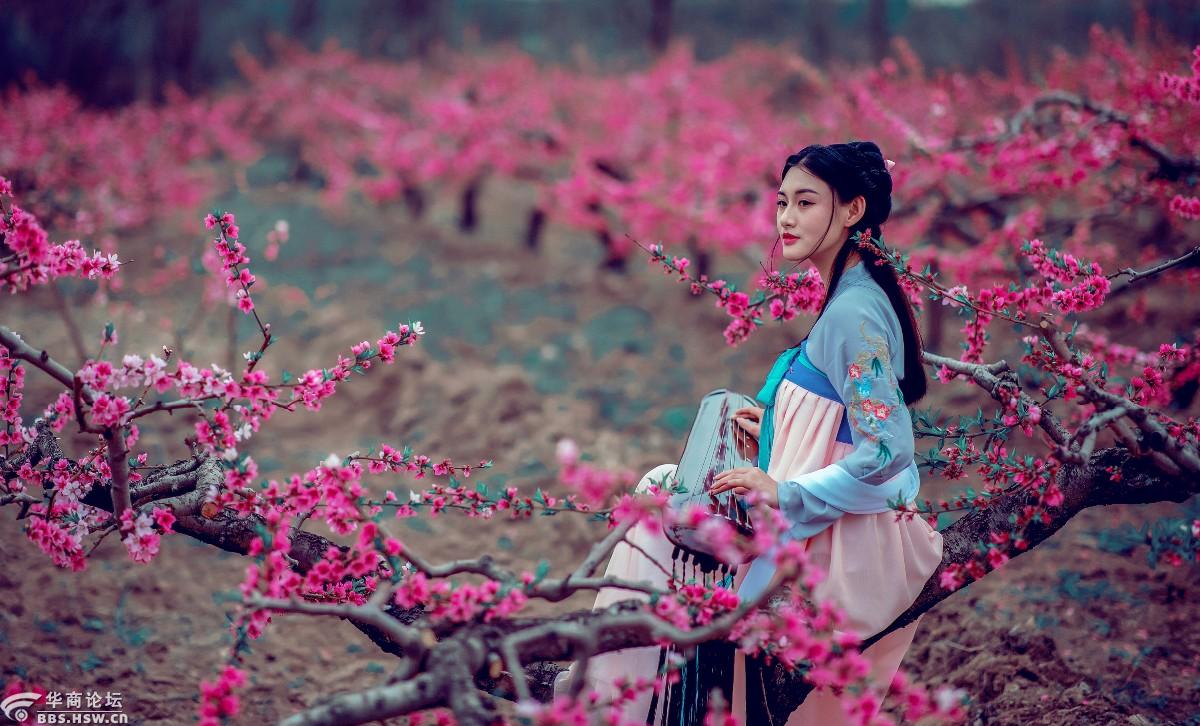 【春满长安】人面桃花相映红,花不醉人人自醉