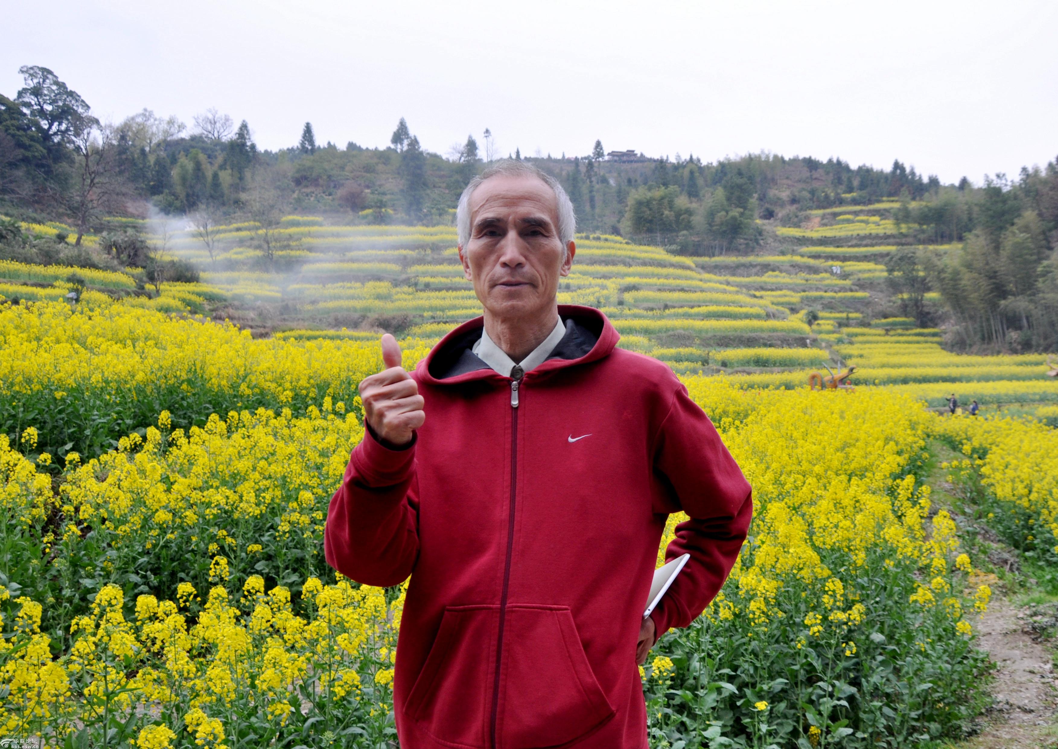 "中国最美丽的乡村"——婺源江岭万亩梯田层层叠叠金灿灿的油菜花海