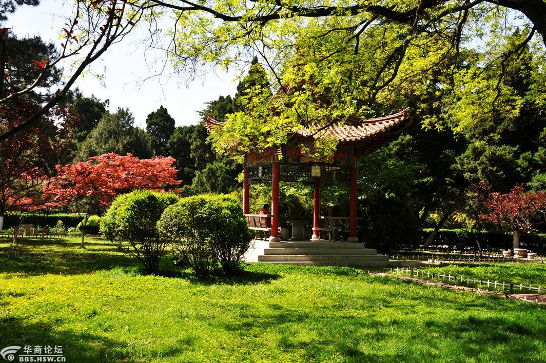 师大校园风光