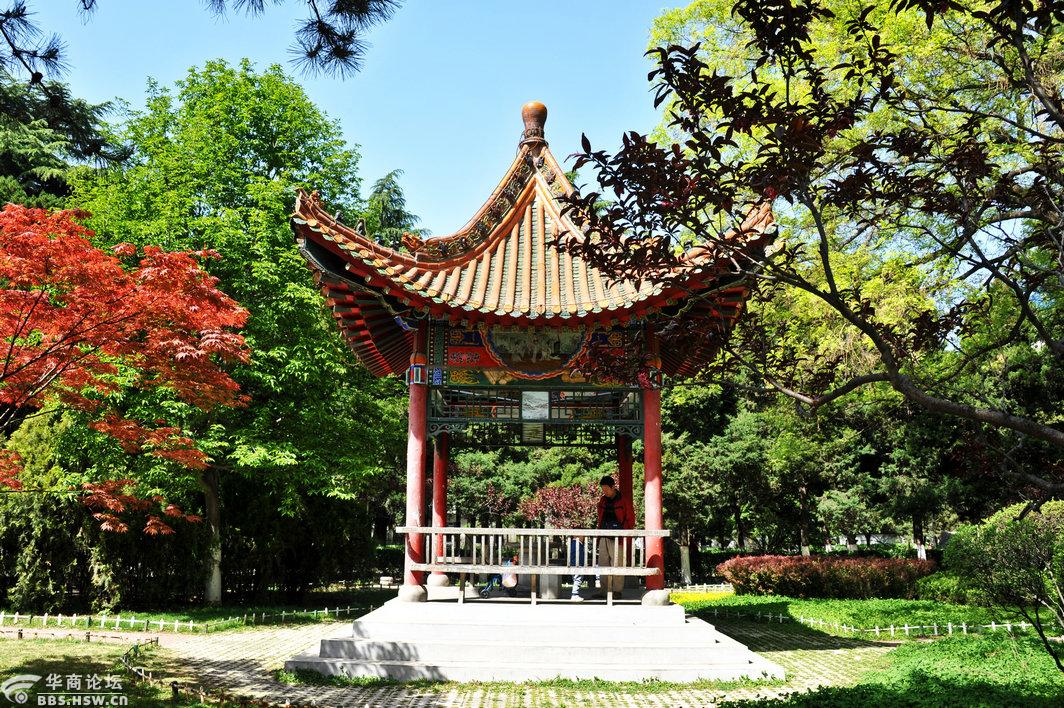 师大校园风光