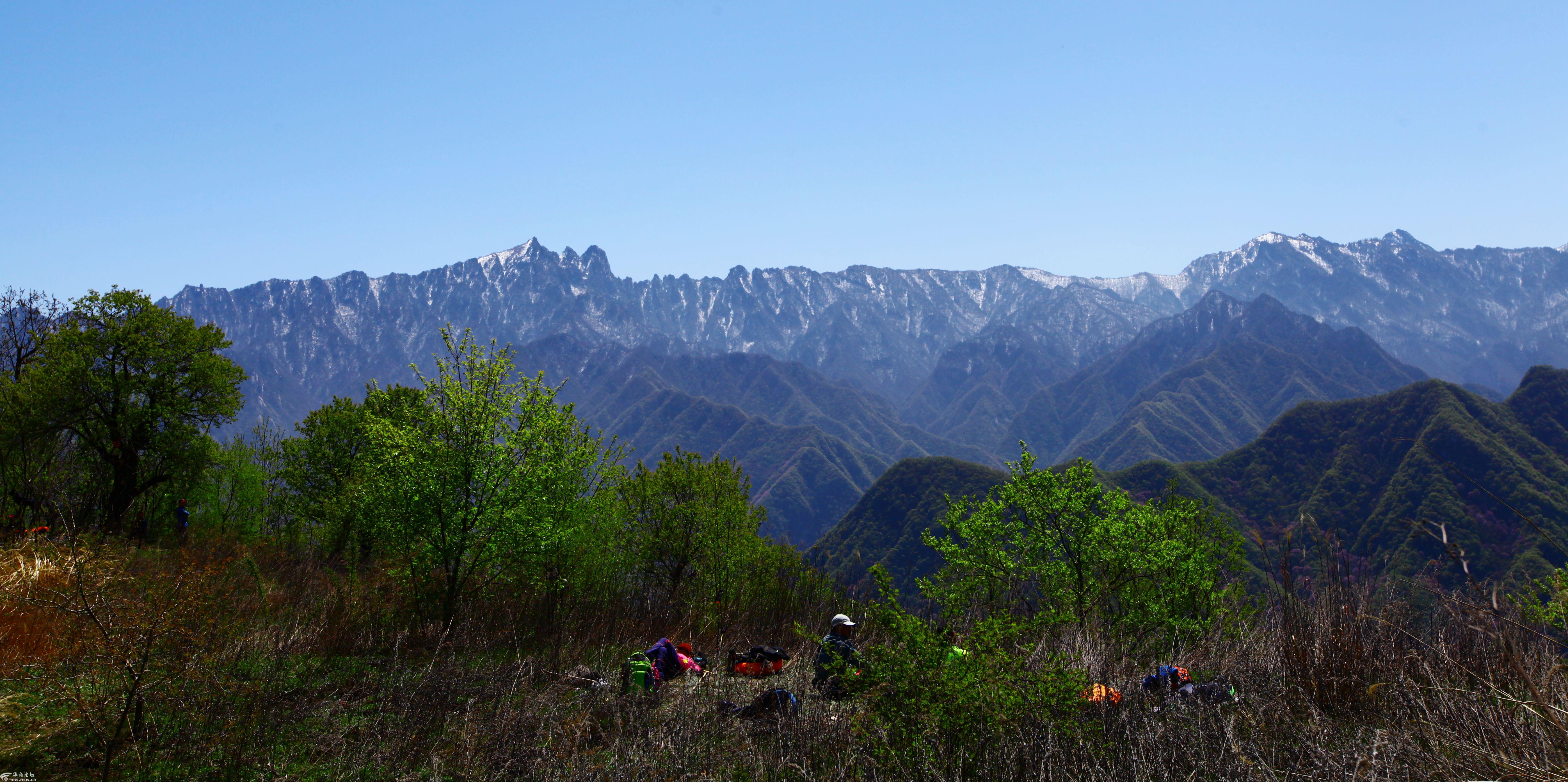 一日穿越西寺沟看尽南山紫荆花