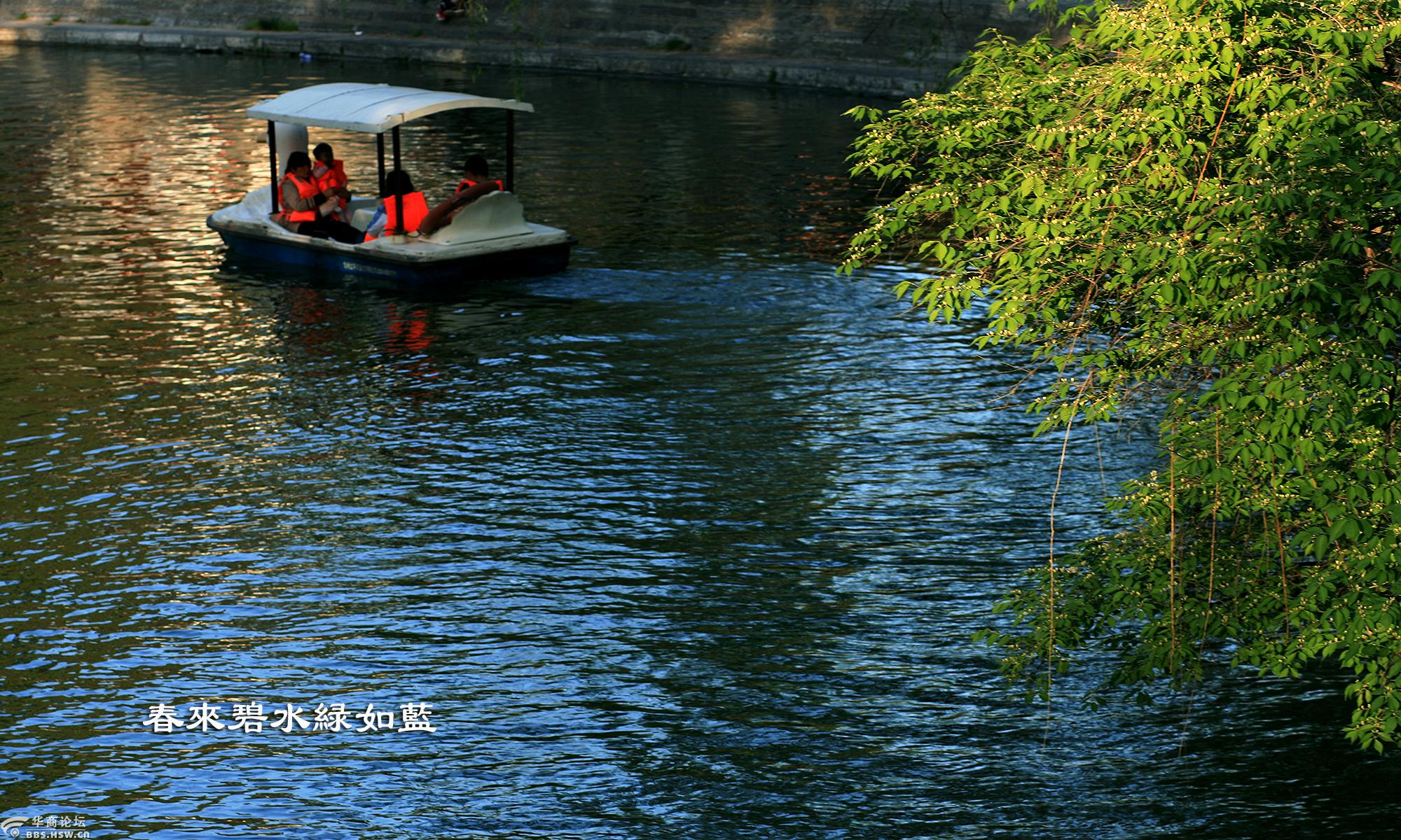摄影日记春来碧水绿如蓝