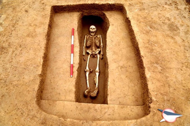 高陵杨官寨遗址,西安秦汉栎阳城遗址获评"2017年度全国十大考古新发现