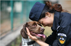 昆明铁路警方的训犬警花