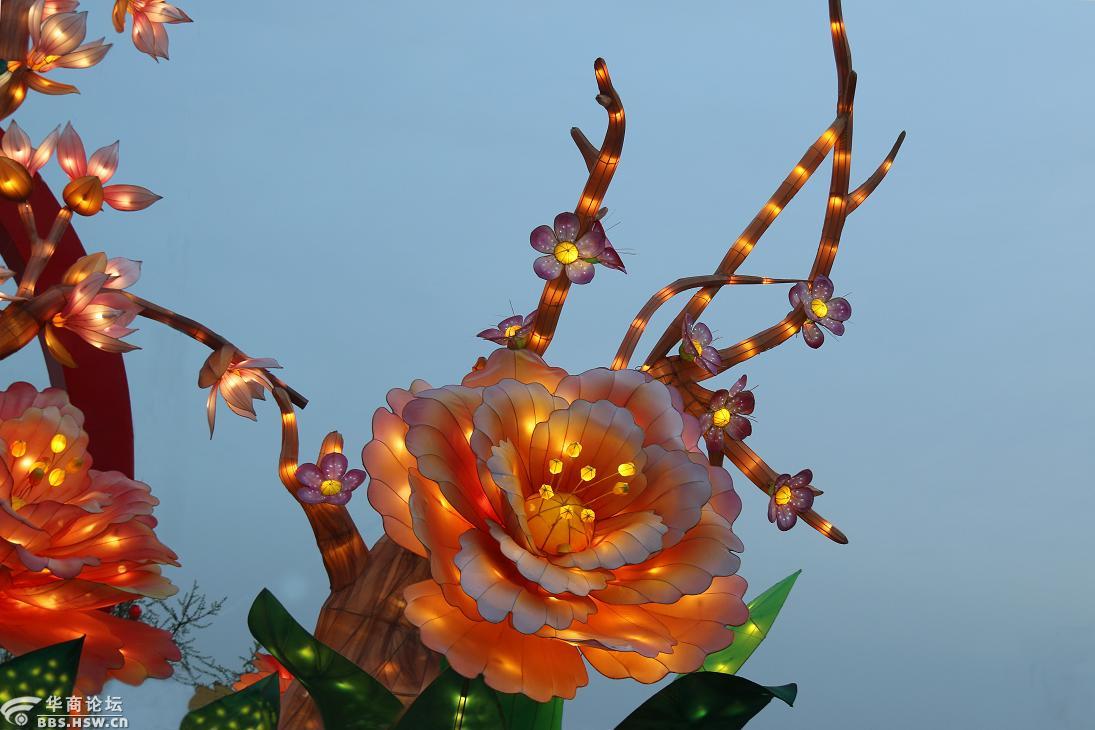 绚丽夺目的富贵牡丹花灯