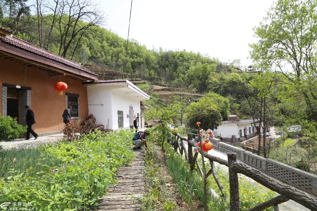 山阳漫川万福沟里有个太平山庄