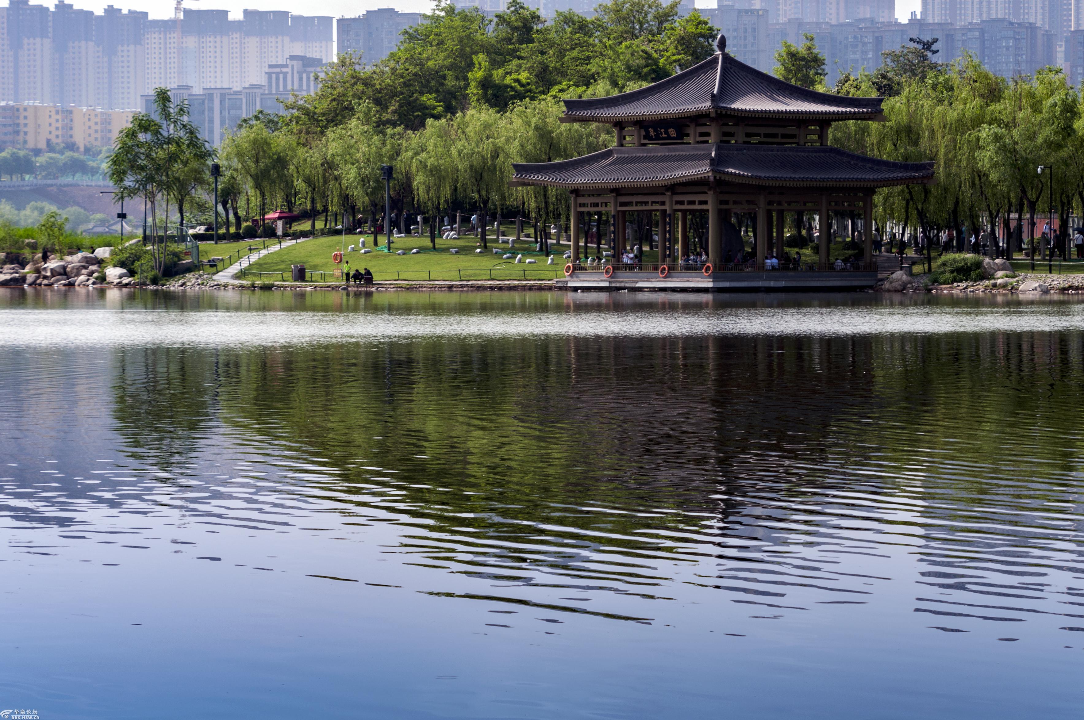 春满长安春色南湖