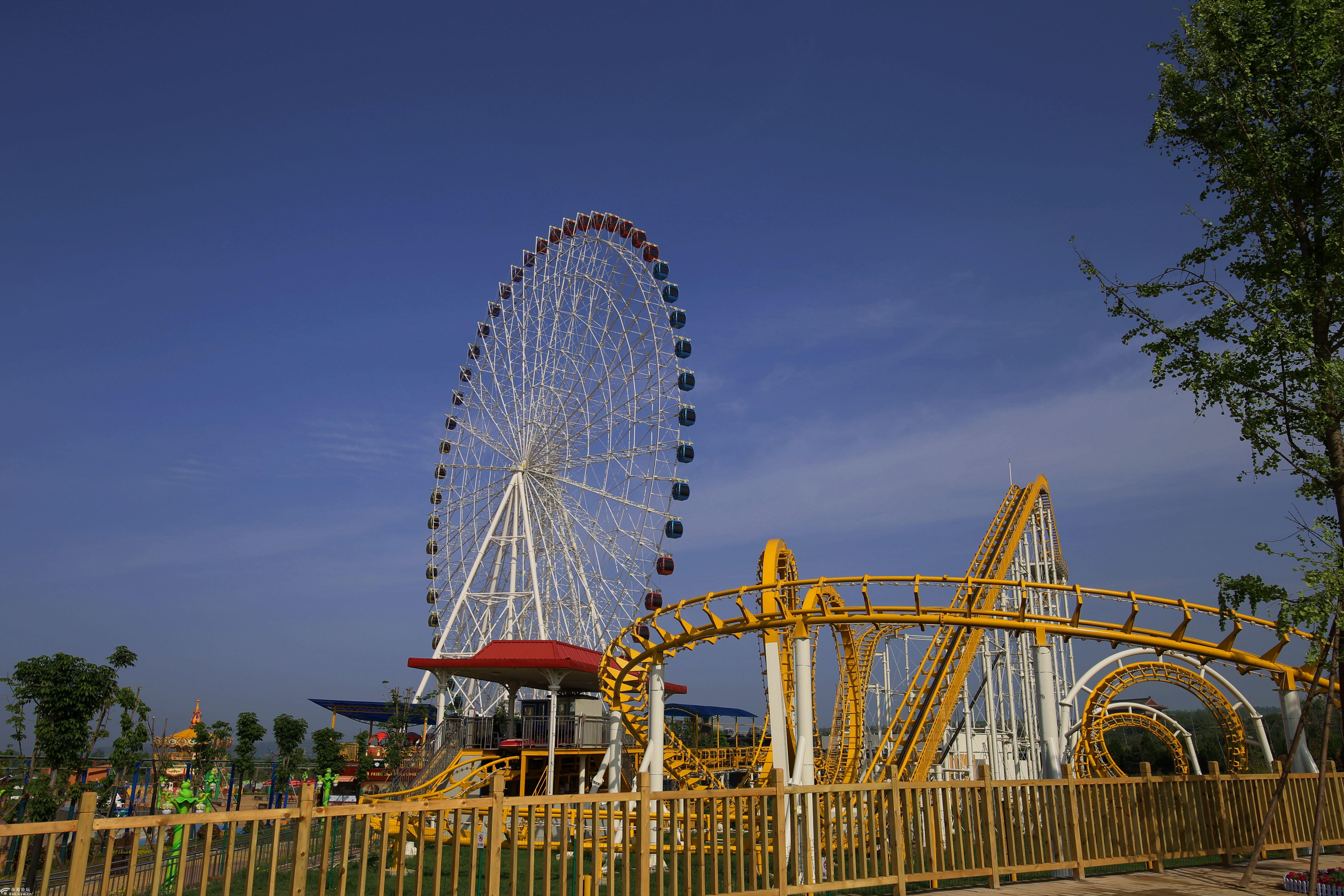 精彩太极人为文化旅游节添彩为宝鸡人争光
