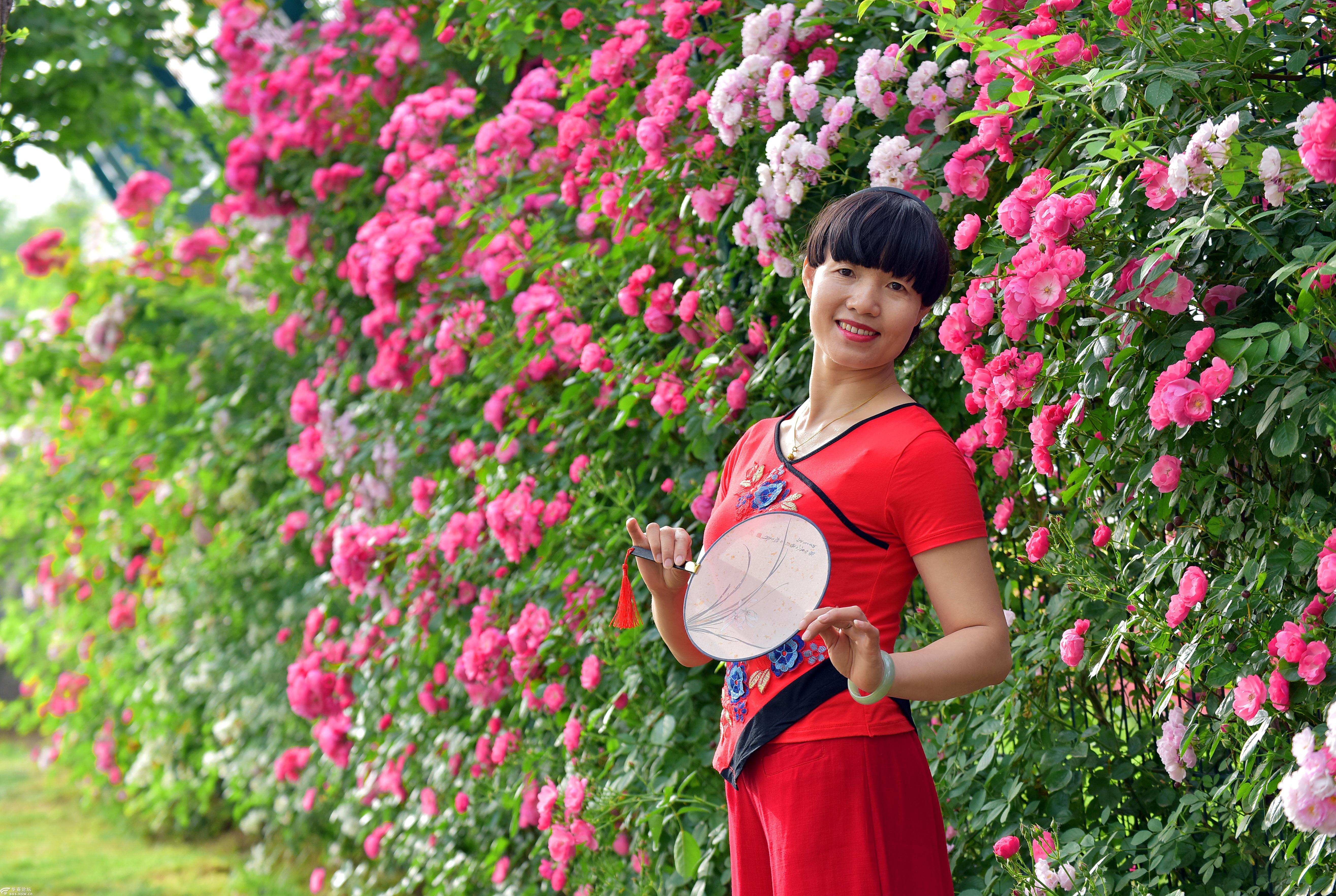 蔷薇花人像外拍