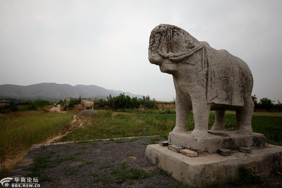 千百年的看守了望——摄于蒲城的唐景陵