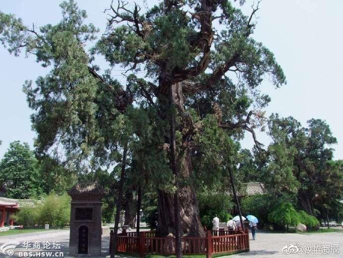 【每日最陕西】NO.1429 天然气要涨价?西安市