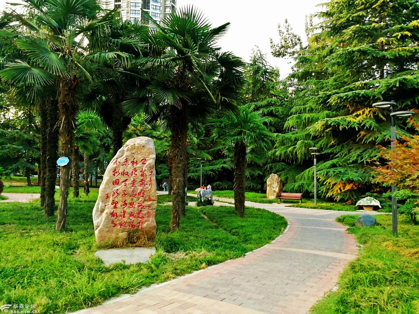 夕阳下的渭滨公园-咸阳论坛-华商论坛