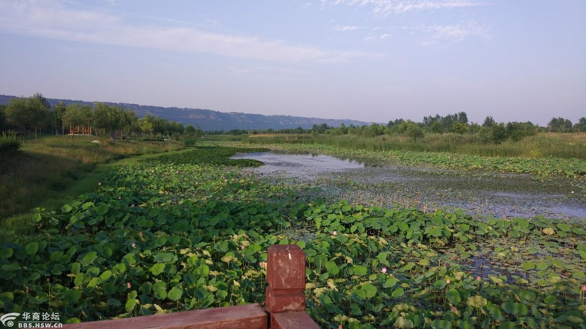 眉县渭河河滩随拍