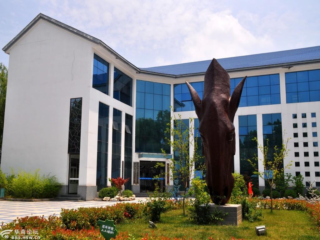 全国一村一品示范村——【马嘴村】