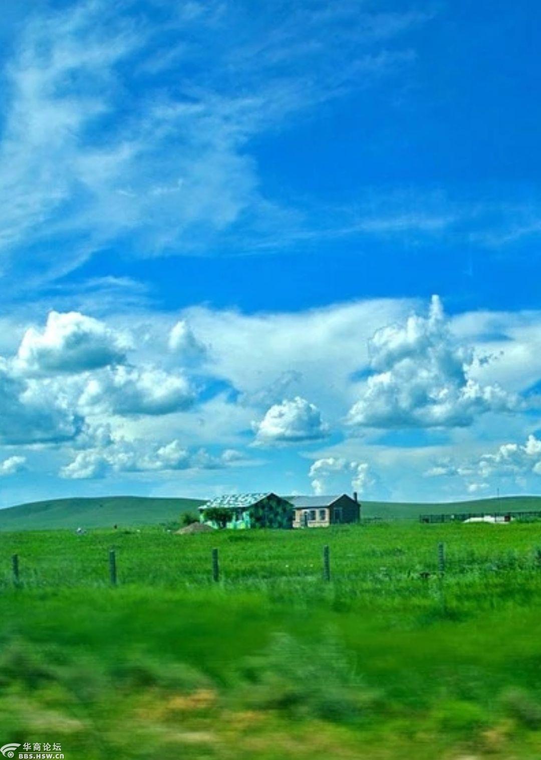 草原美不是图片能让你感受的