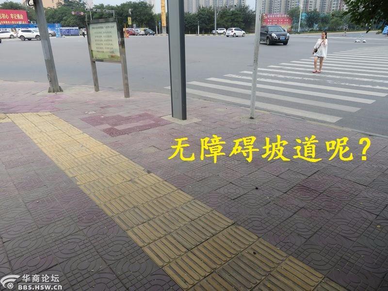 1097557.jpg