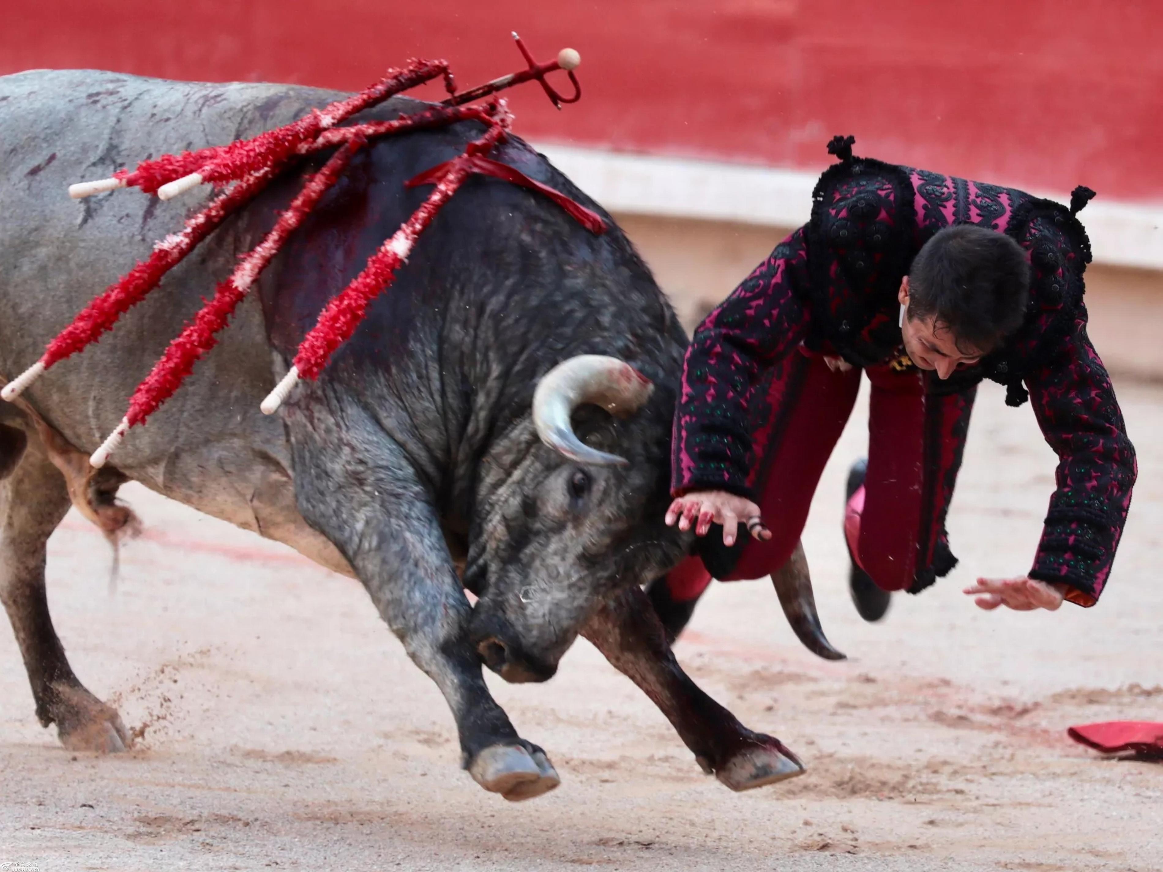 西班牙公牛比赛斗牛节