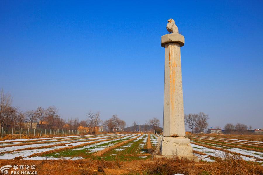 寻唐迹我走过唐帝王陵