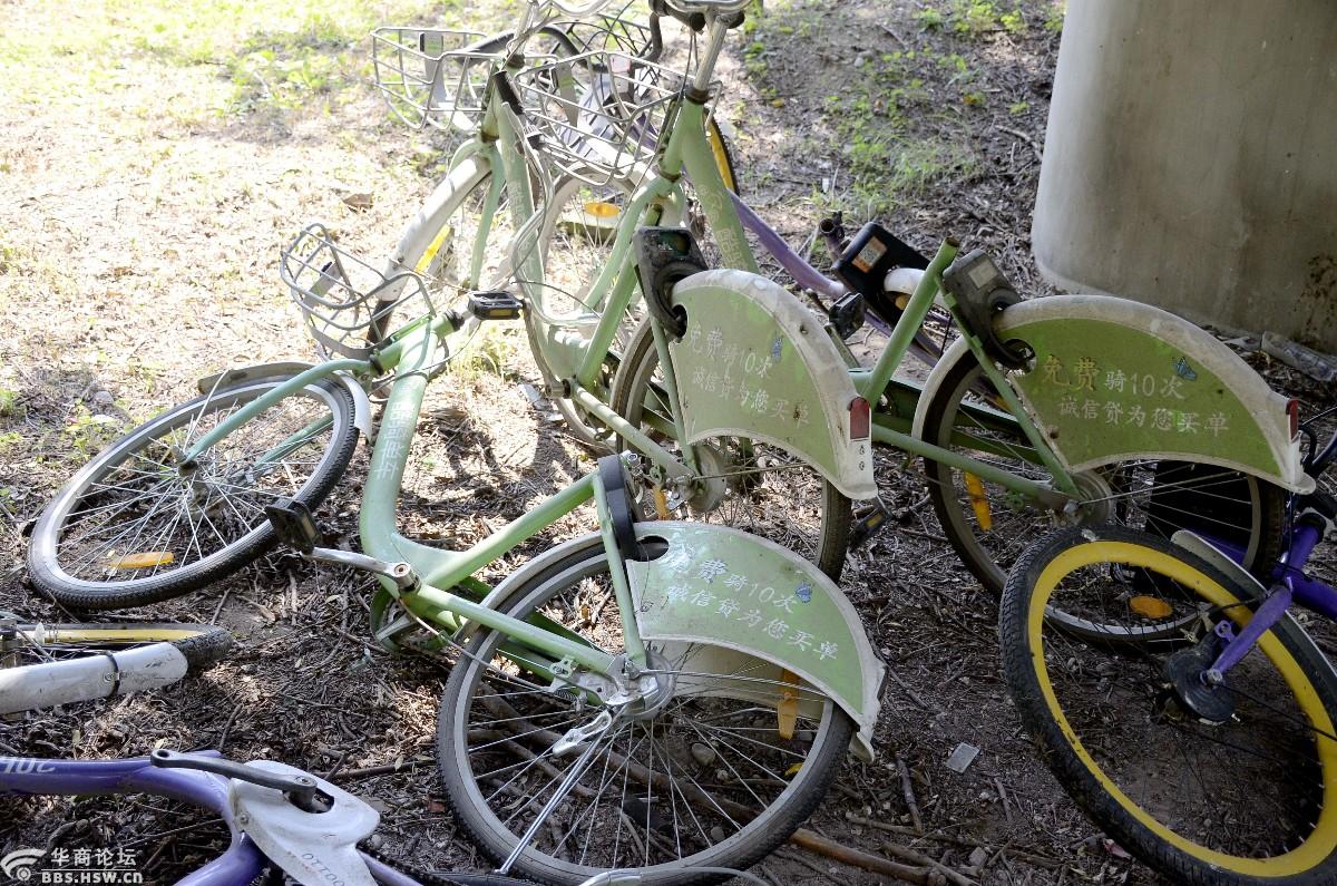 被遗弃在桥下的一堆共享单车